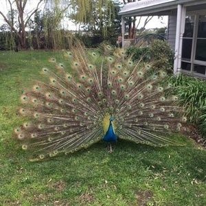 Meet your Posher, Kellie